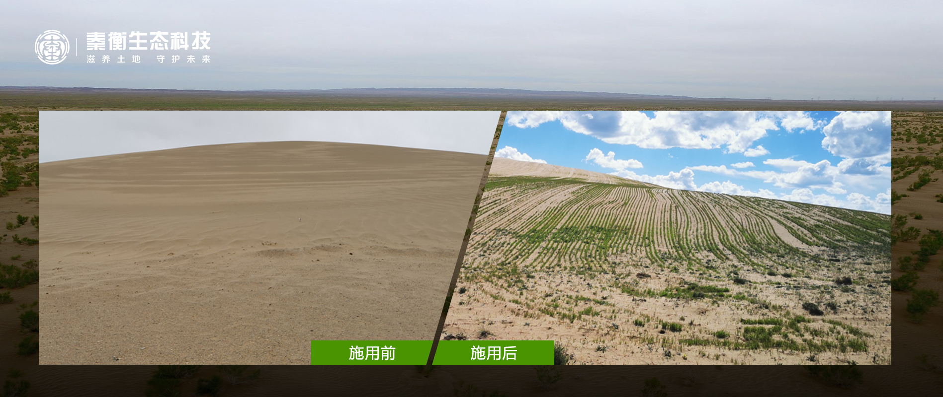 青海省 瑪多縣 黃河鄉(xiāng)沙化地治理